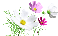 flower_2.png
